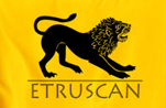 Etruscan Resources Inc