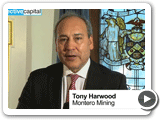 Tim Harwood